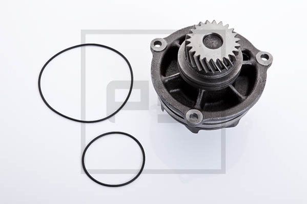 PE AUTOMOTIVE Vesipumppu 020.100-00A